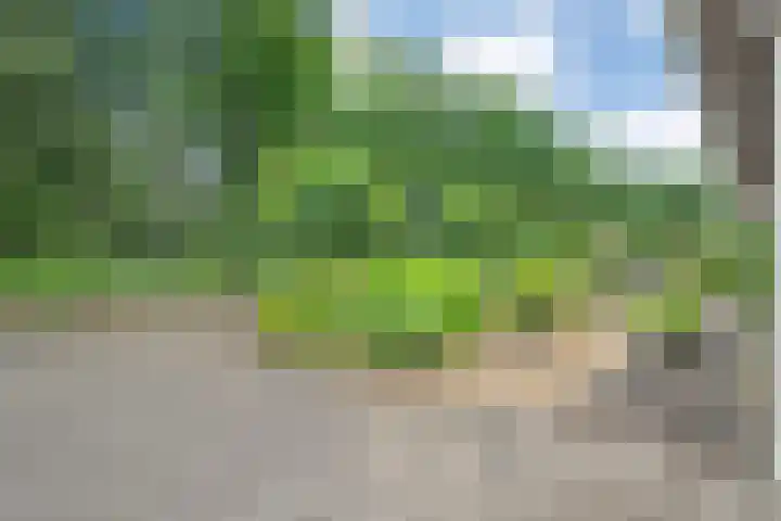 Tolhuisweg 5 Witharen thumbnail 52