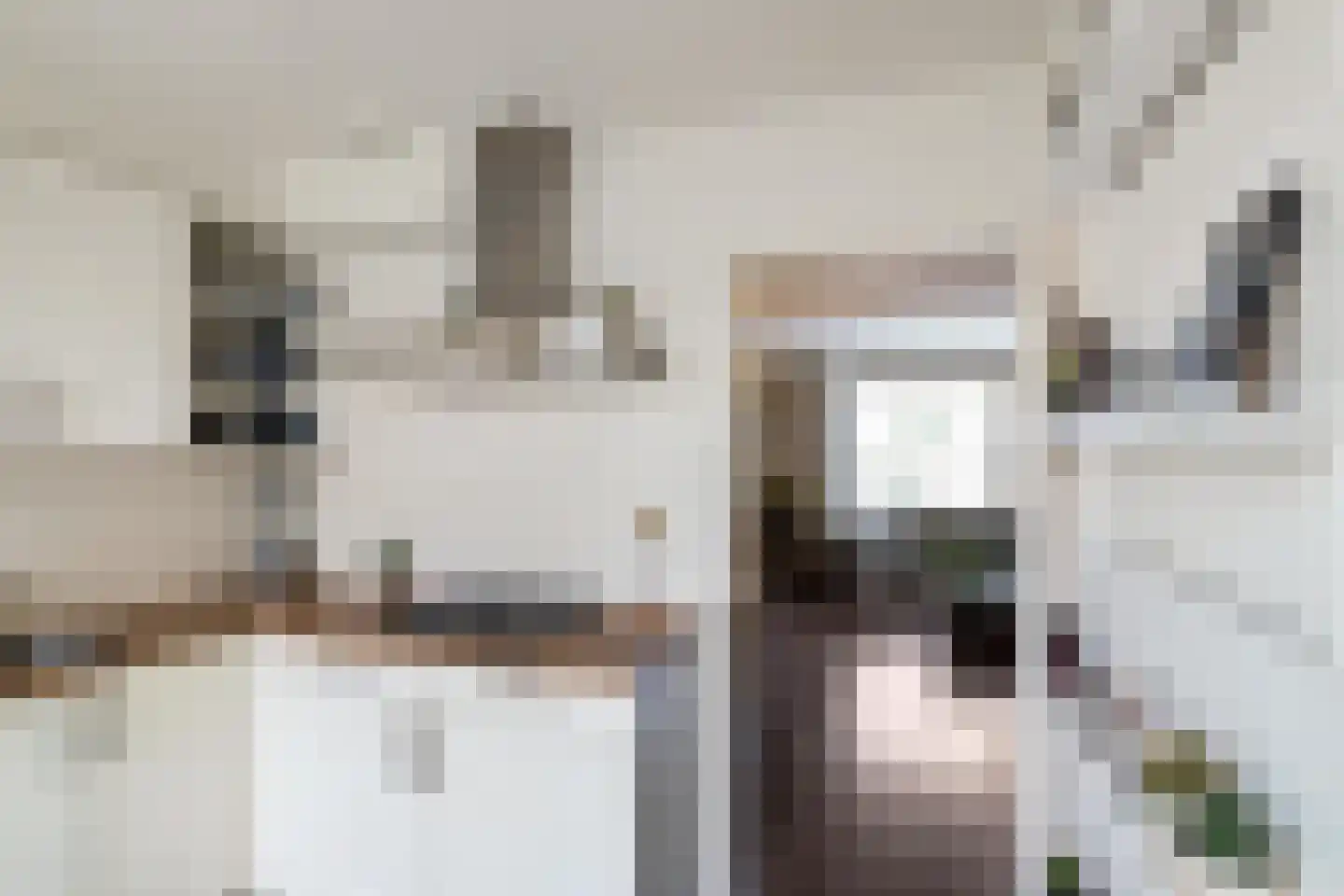Tolhuiswierde 6 Ten Boer thumbnail 10