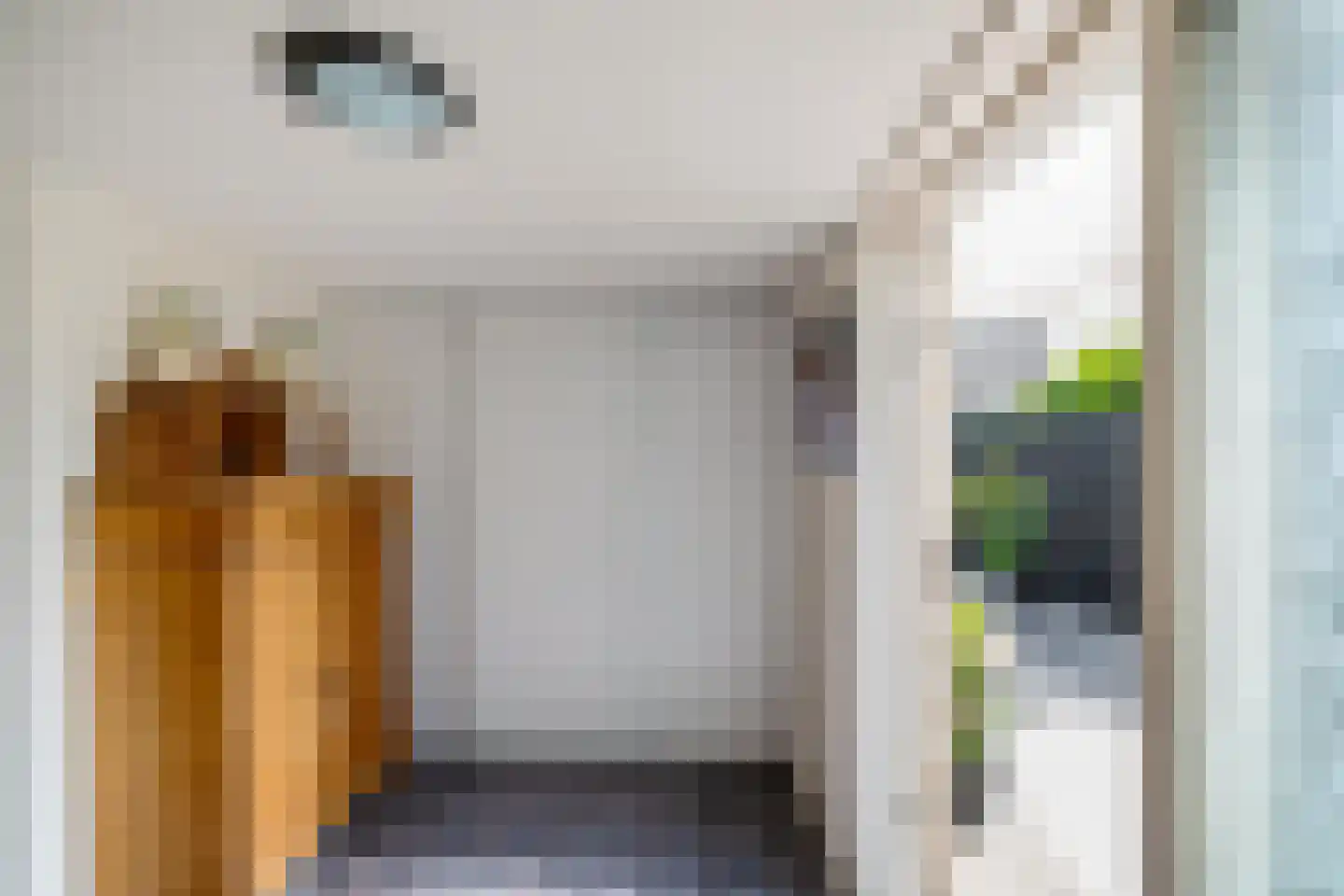 Tolhuiswierde 6 Ten Boer thumbnail 12