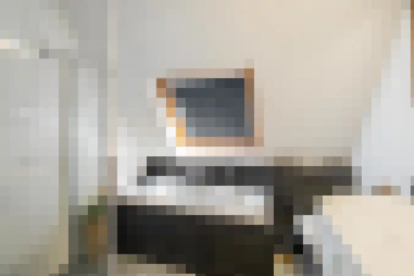 Tolhuiswierde 6 Ten Boer thumbnail 15