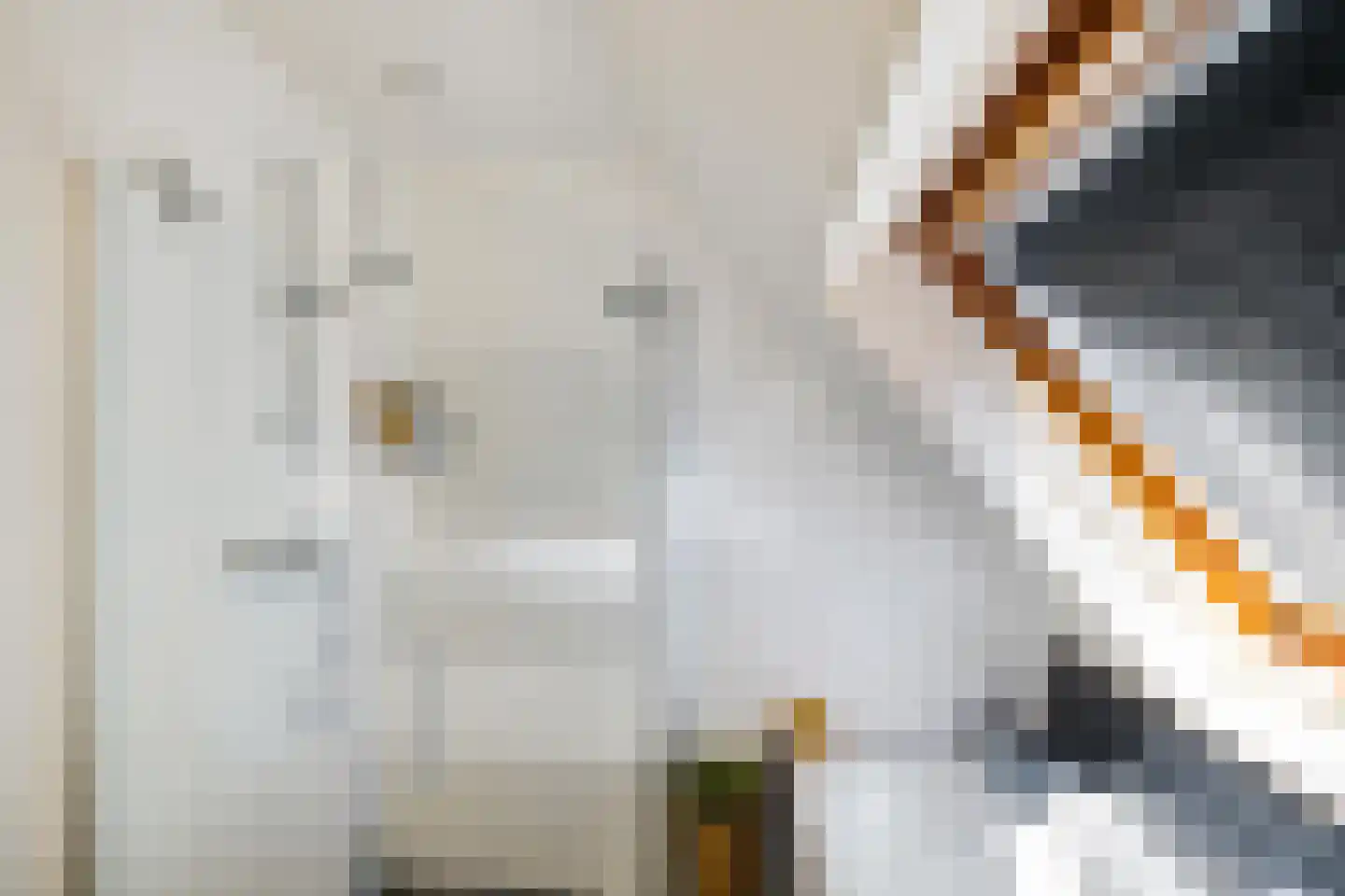 Tolhuiswierde 6 Ten Boer thumbnail 16
