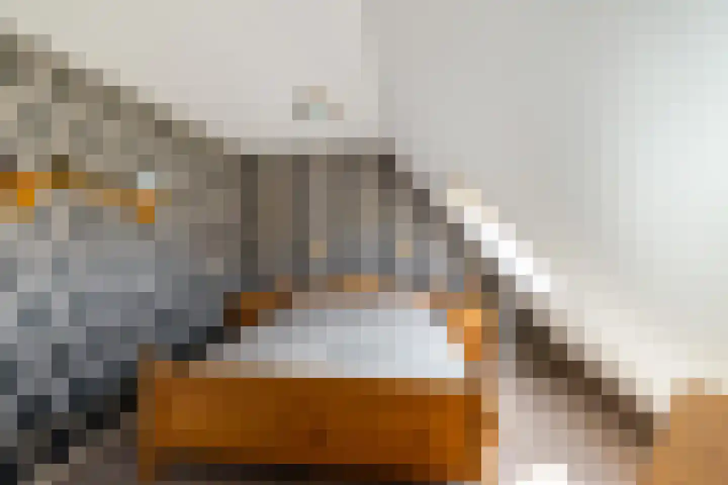 Tolhuiswierde 6 Ten Boer thumbnail 19