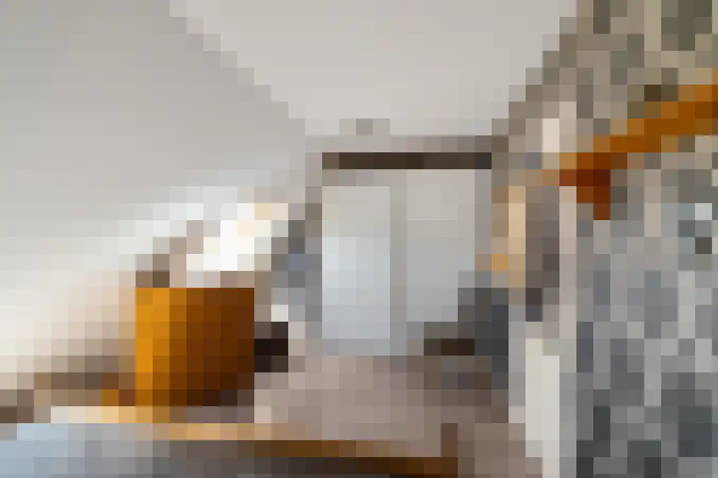 Tolhuiswierde 6 Ten Boer thumbnail 20