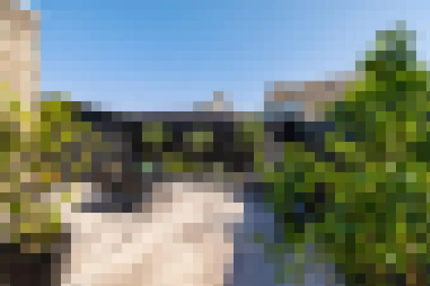 Tolhuiswierde 6 Ten Boer thumbnail 26