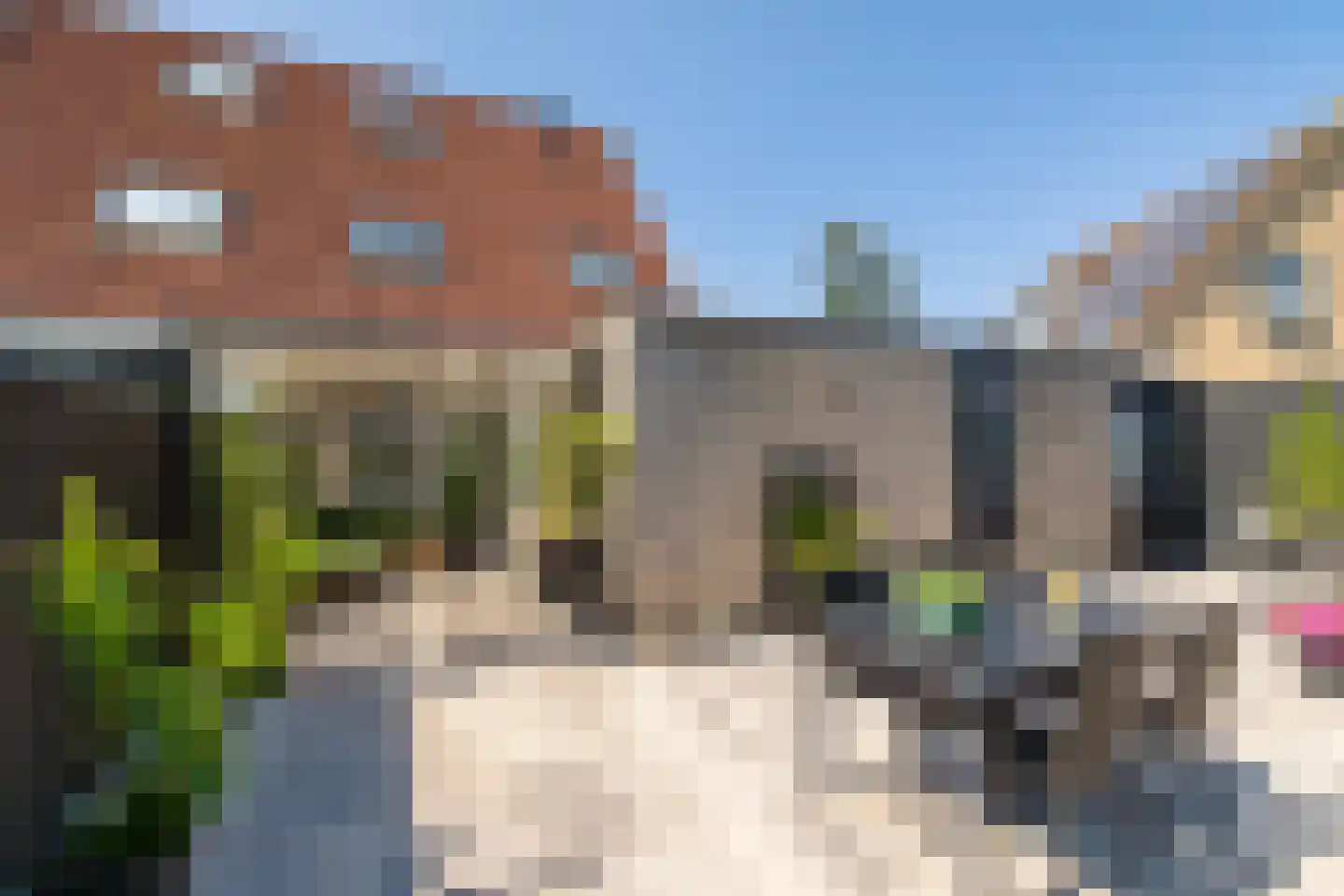 Tolhuiswierde 6 Ten Boer thumbnail 28