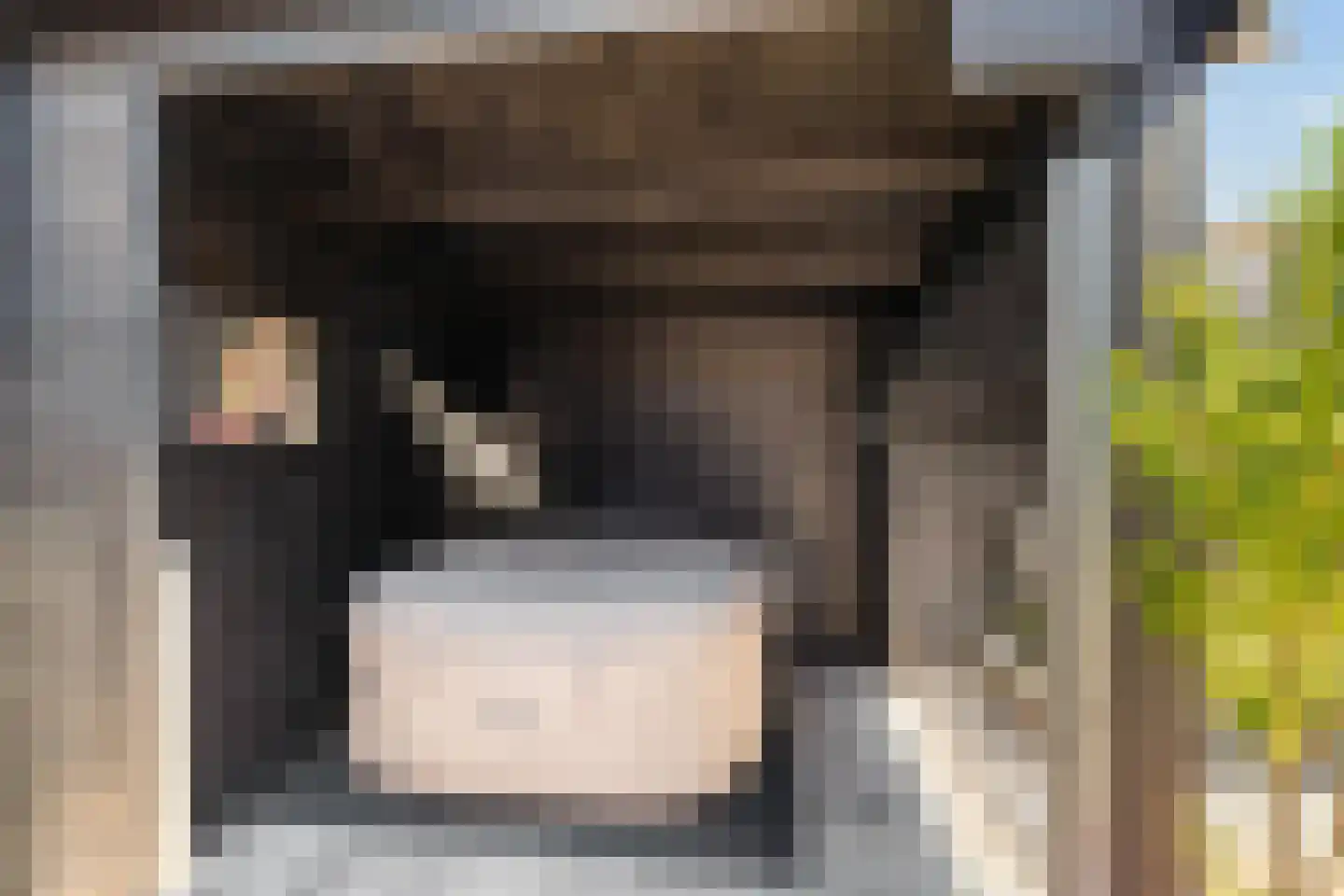 Tolhuiswierde 6 Ten Boer thumbnail 31