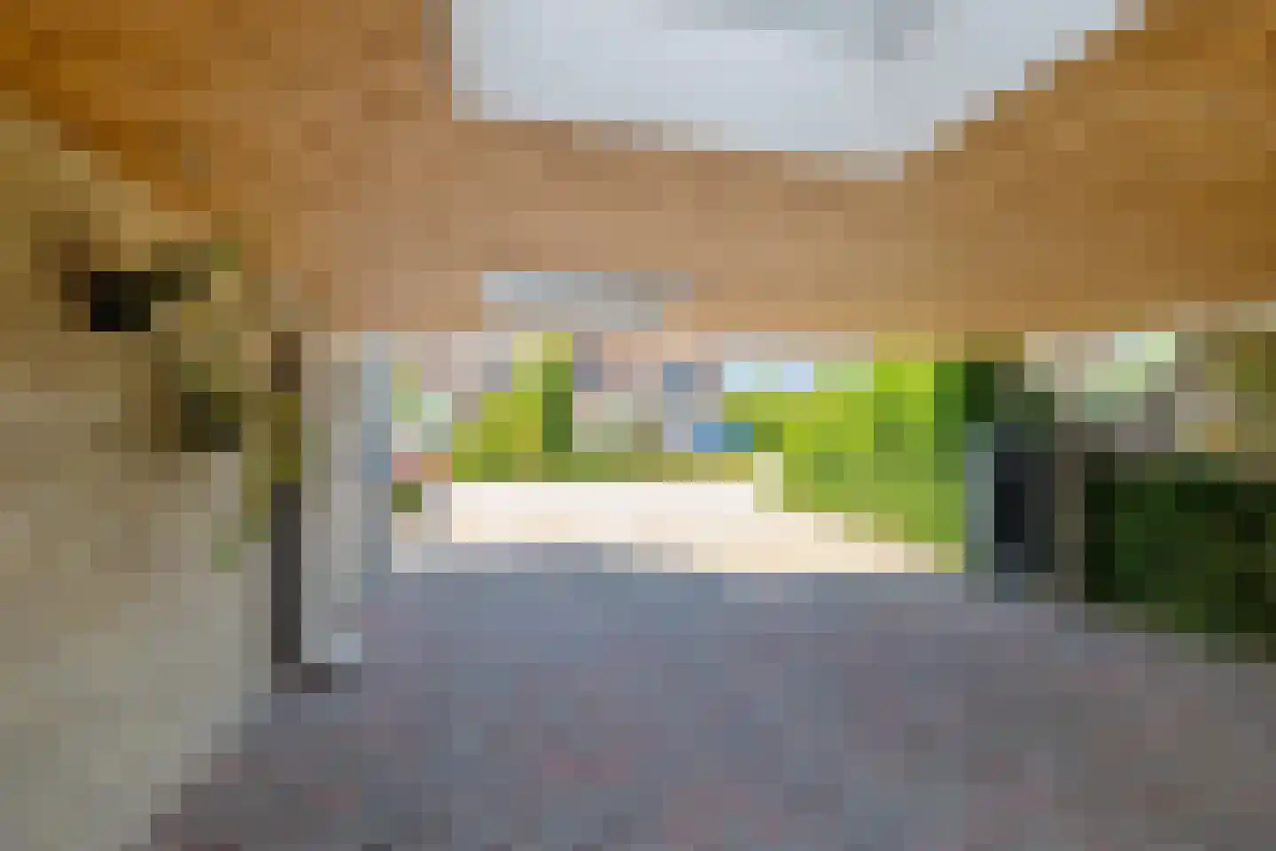 Tolhuiswierde 6 Ten Boer thumbnail 34