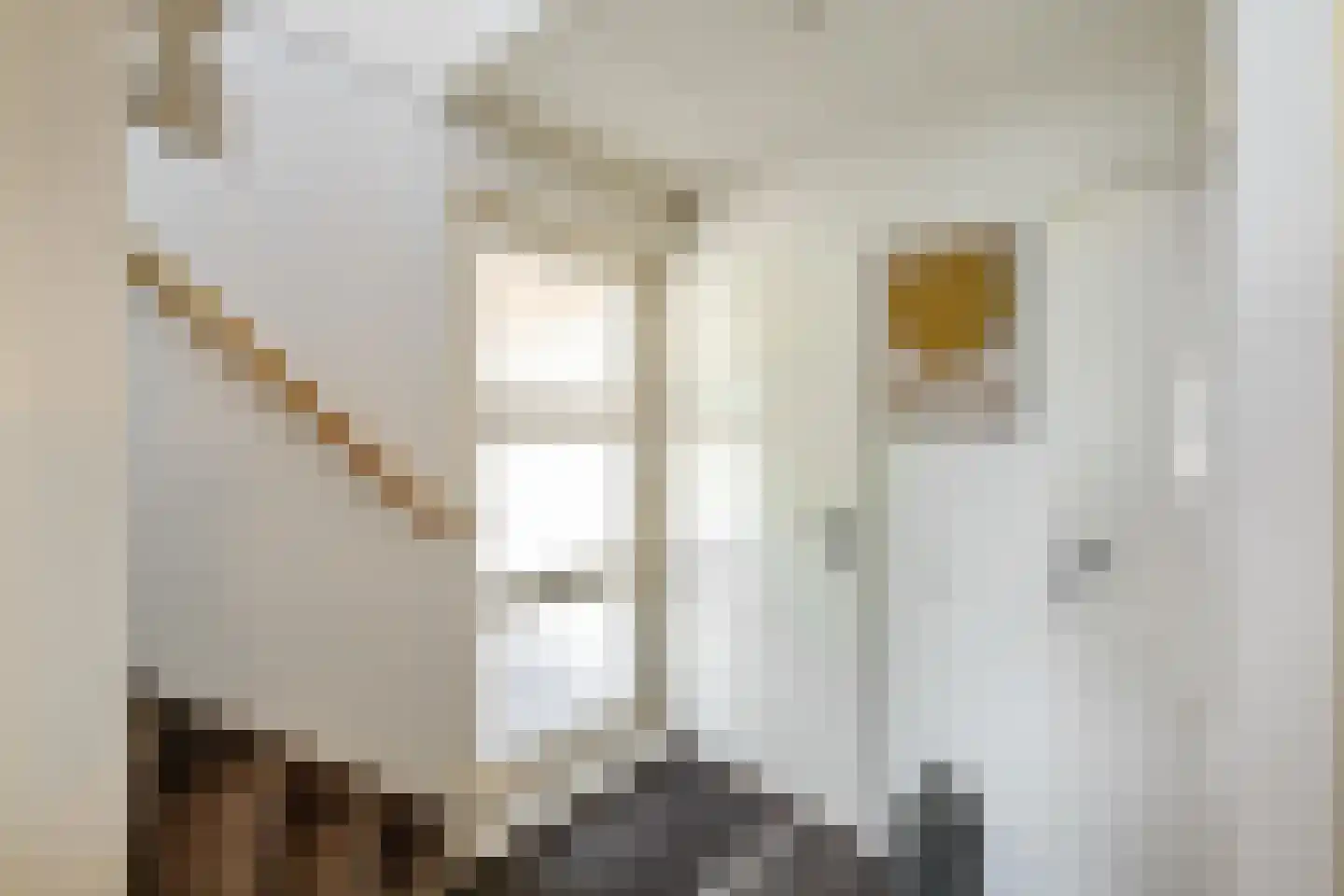 Tolhuiswierde 6 Ten Boer thumbnail 4