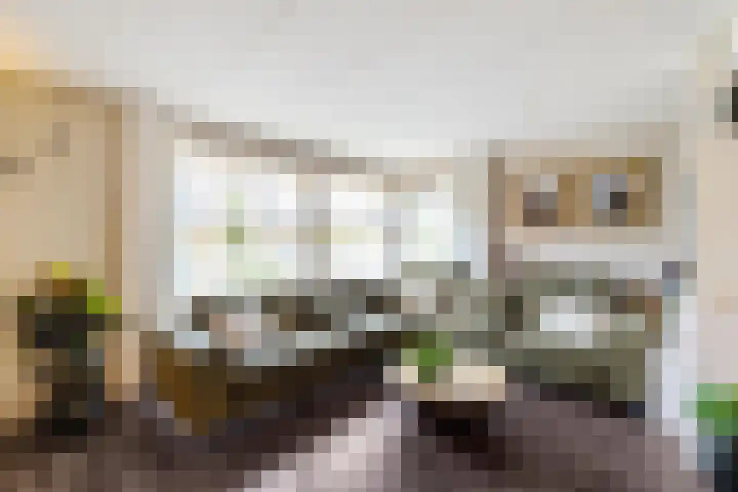 Tolhuiswierde 6 Ten Boer thumbnail 6