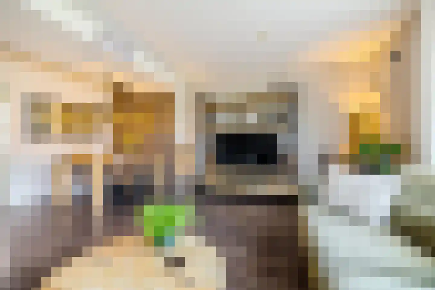 Tolhuiswierde 6 Ten Boer thumbnail 7