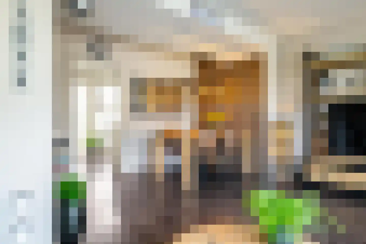 Tolhuiswierde 6 Ten Boer thumbnail 8