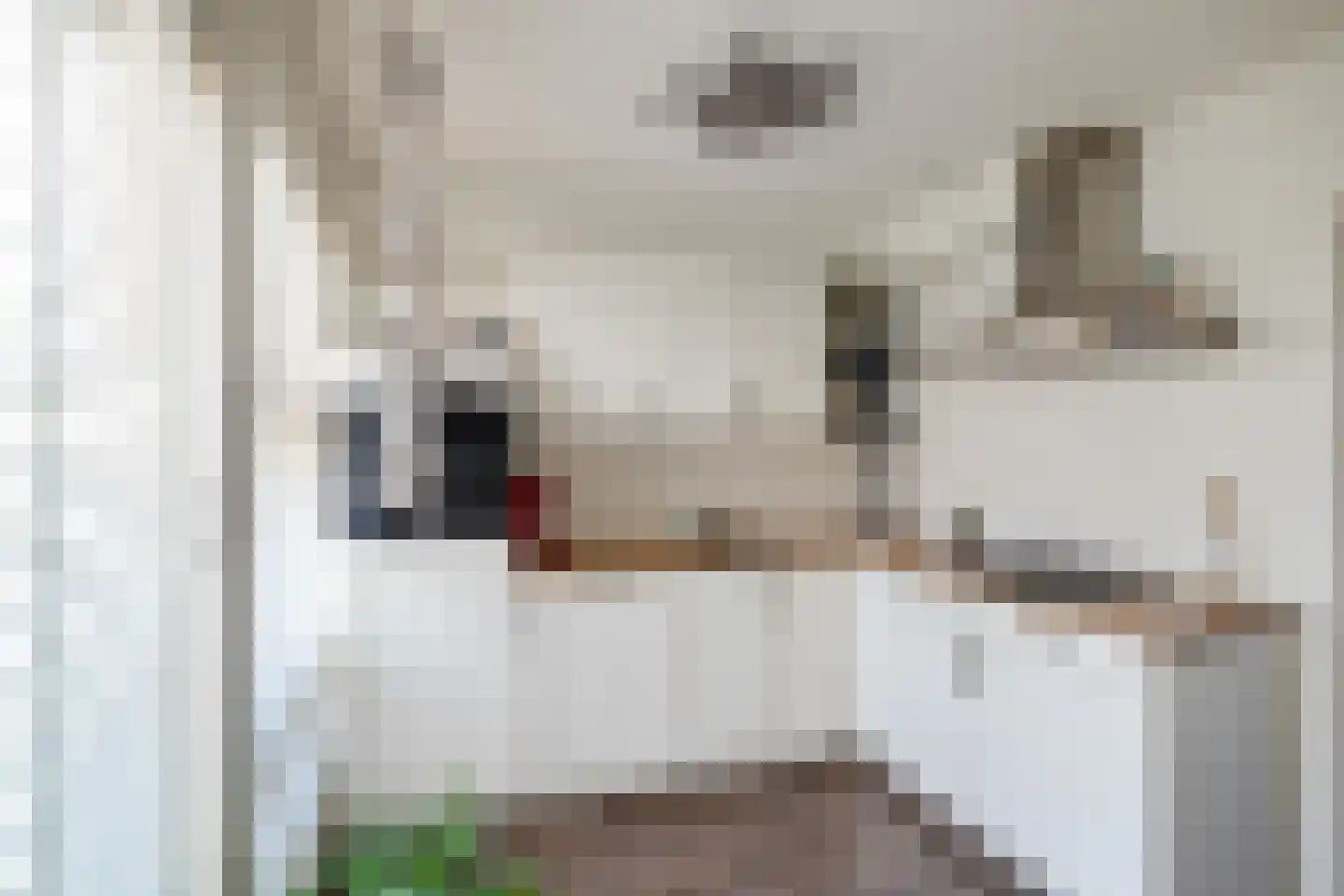 Tolhuiswierde 6 Ten Boer thumbnail 9