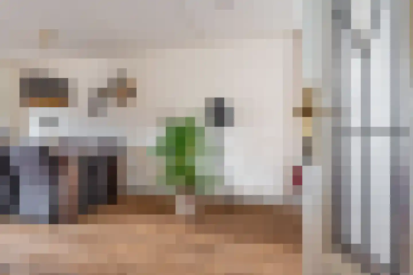 Tolhuiswijk 10 Oude Pekela thumbnail 12