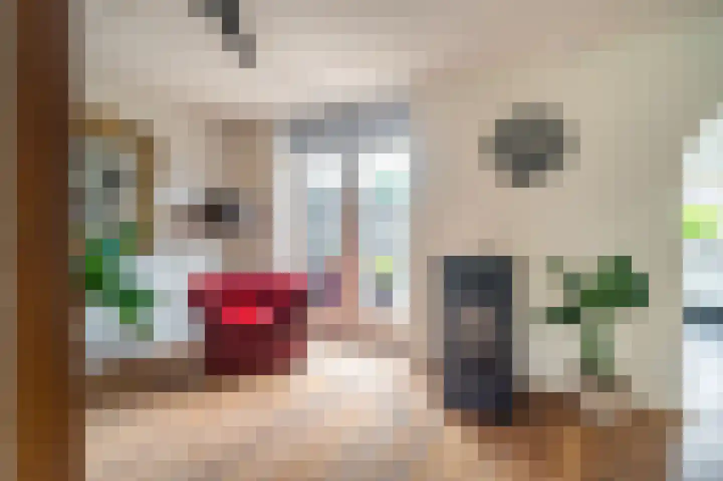 Tolhuiswijk 10 Oude Pekela thumbnail 14