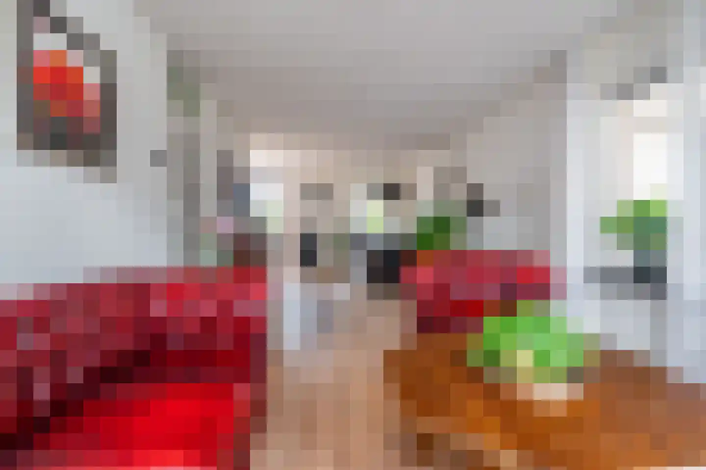 Tolhuiswijk 10 Oude Pekela thumbnail 20