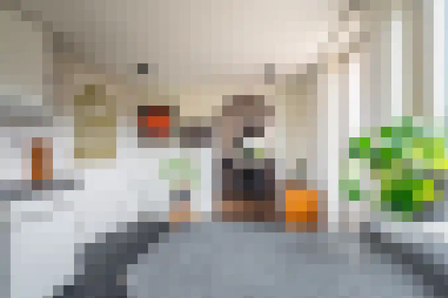 Tolhuiswijk 10 Oude Pekela thumbnail 23