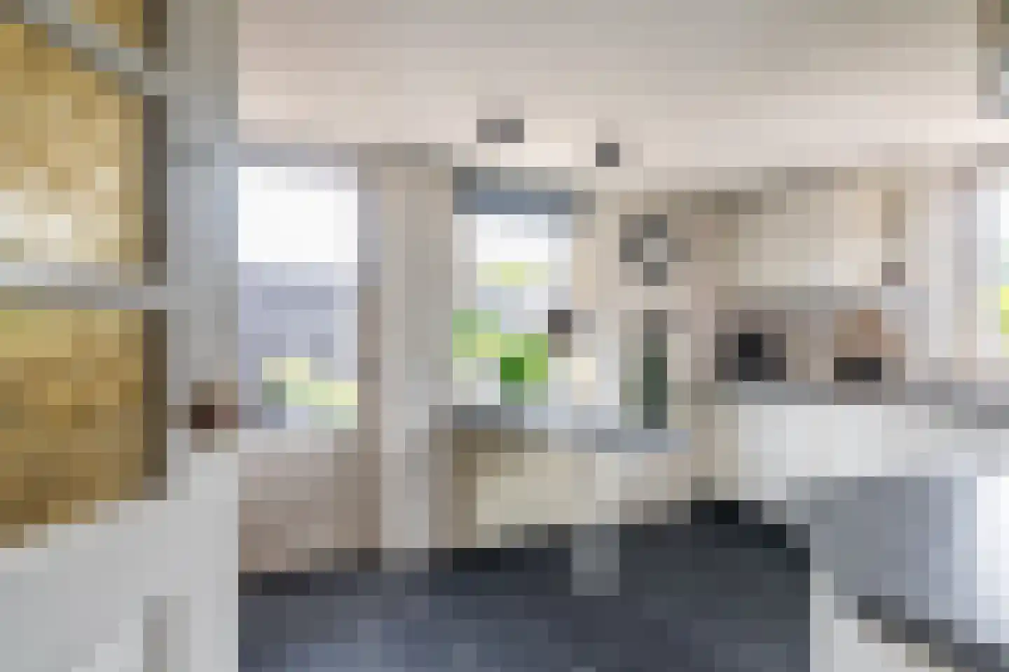Tolhuiswijk 10 Oude Pekela thumbnail 24