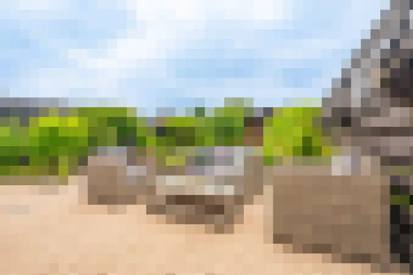 Tolhuiswijk 10 Oude Pekela thumbnail 4