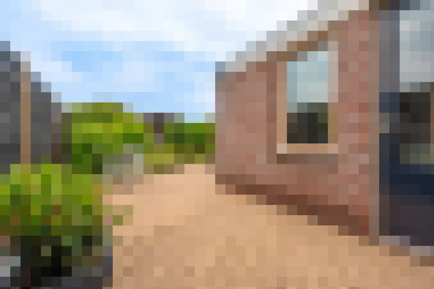 Tolhuiswijk 10 Oude Pekela thumbnail 44