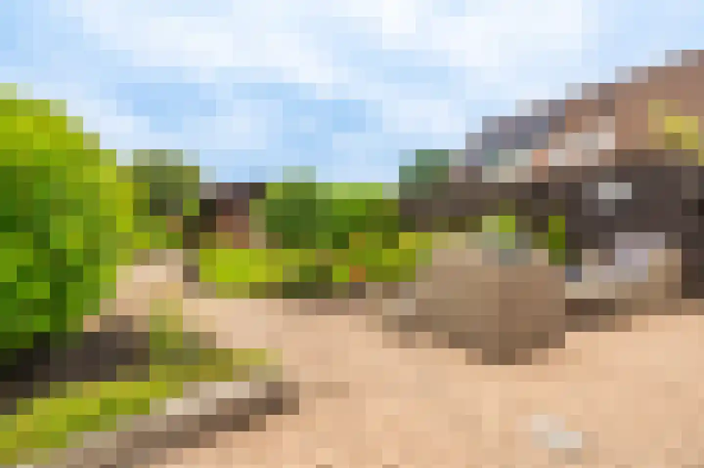 Tolhuiswijk 10 Oude Pekela thumbnail 45