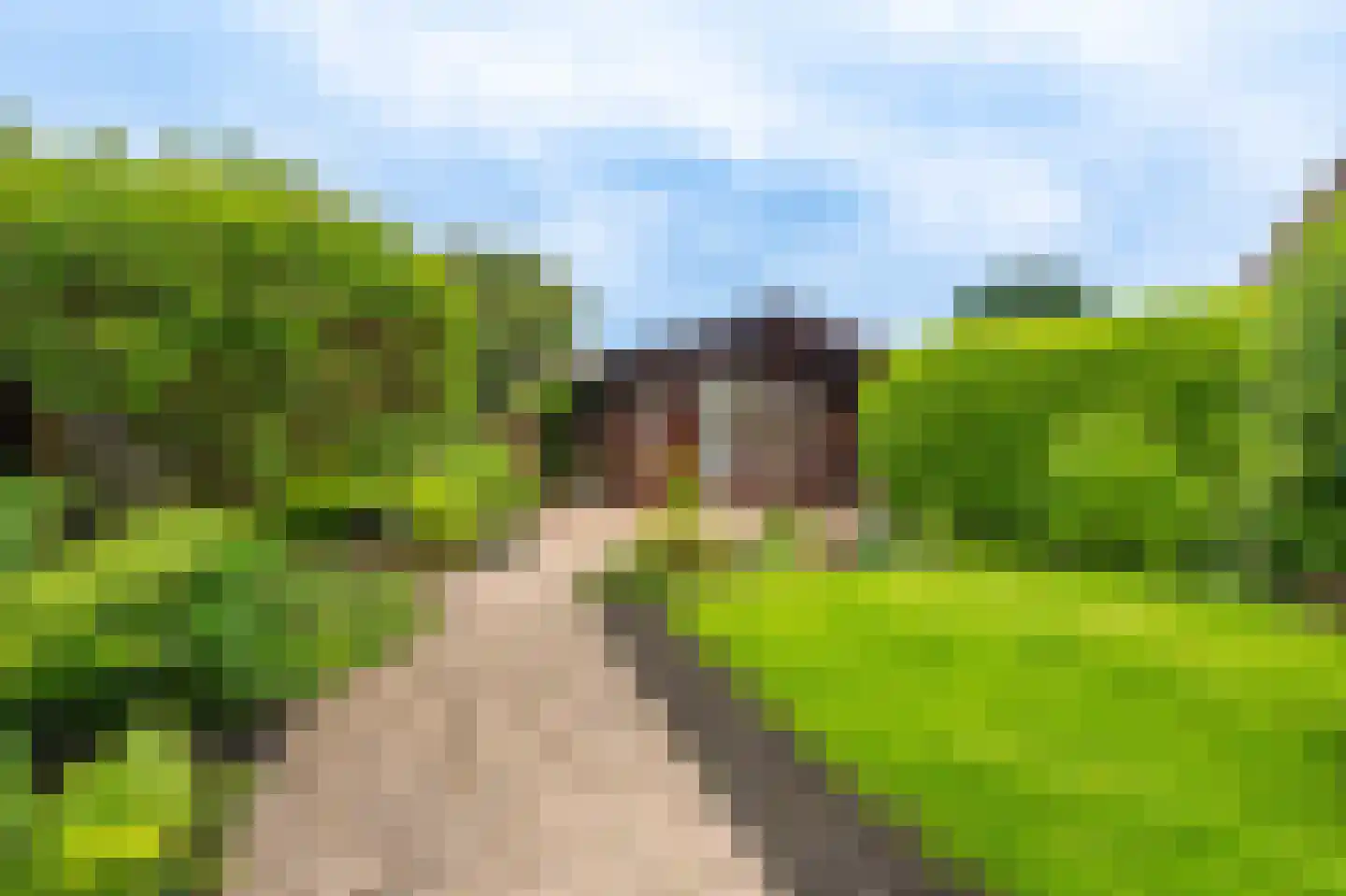 Tolhuiswijk 10 Oude Pekela thumbnail 46