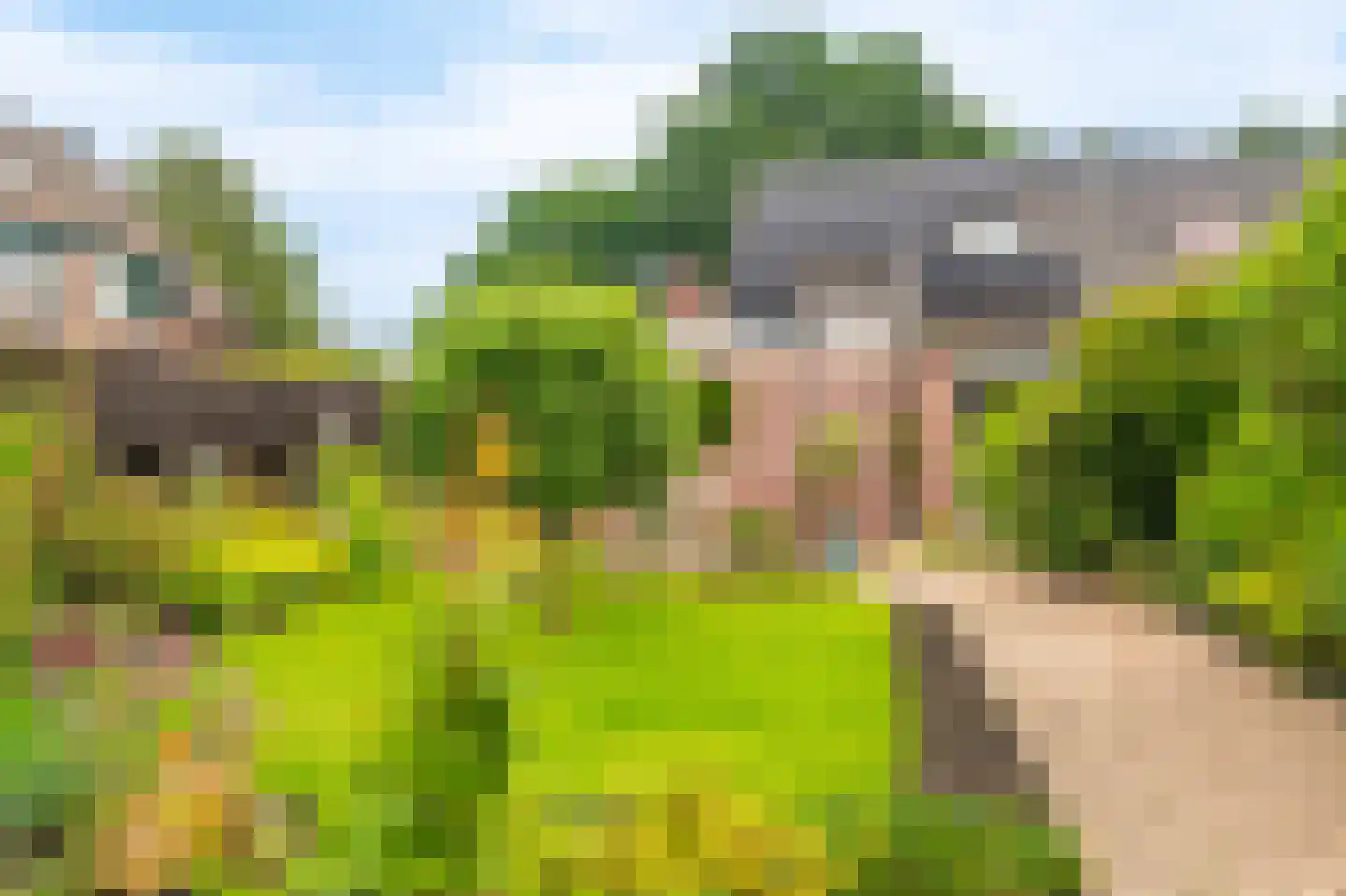 Tolhuiswijk 10 Oude Pekela thumbnail 48