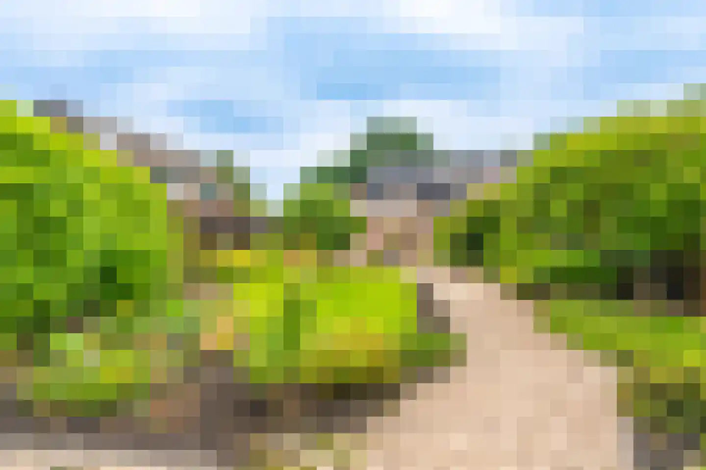 Tolhuiswijk 10 Oude Pekela thumbnail 49