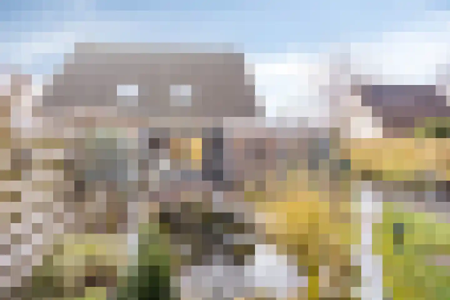 Tolhuiswijk 46 Oude Pekela thumbnail 39