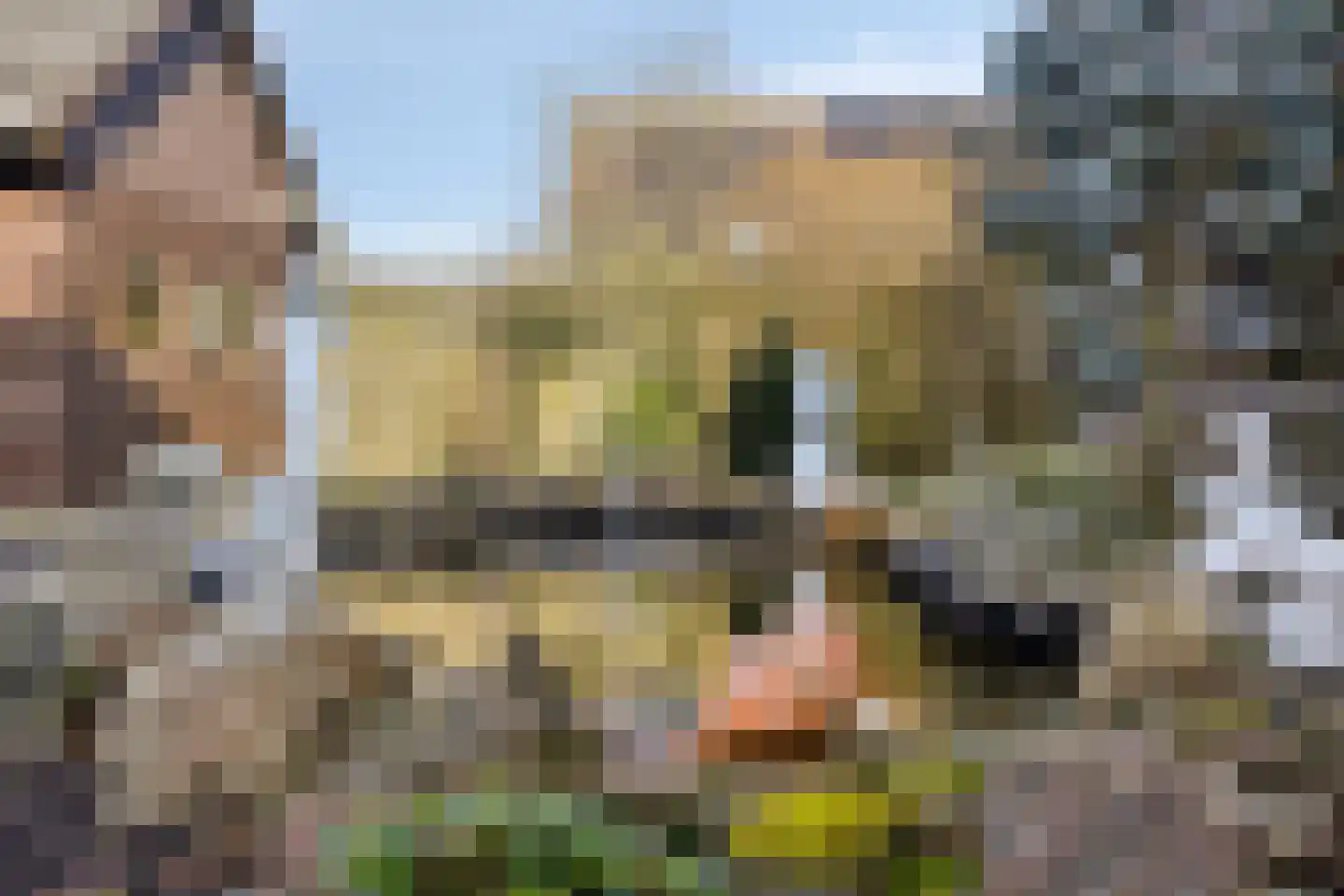 Tolhuiswijk 46 Oude Pekela thumbnail 41