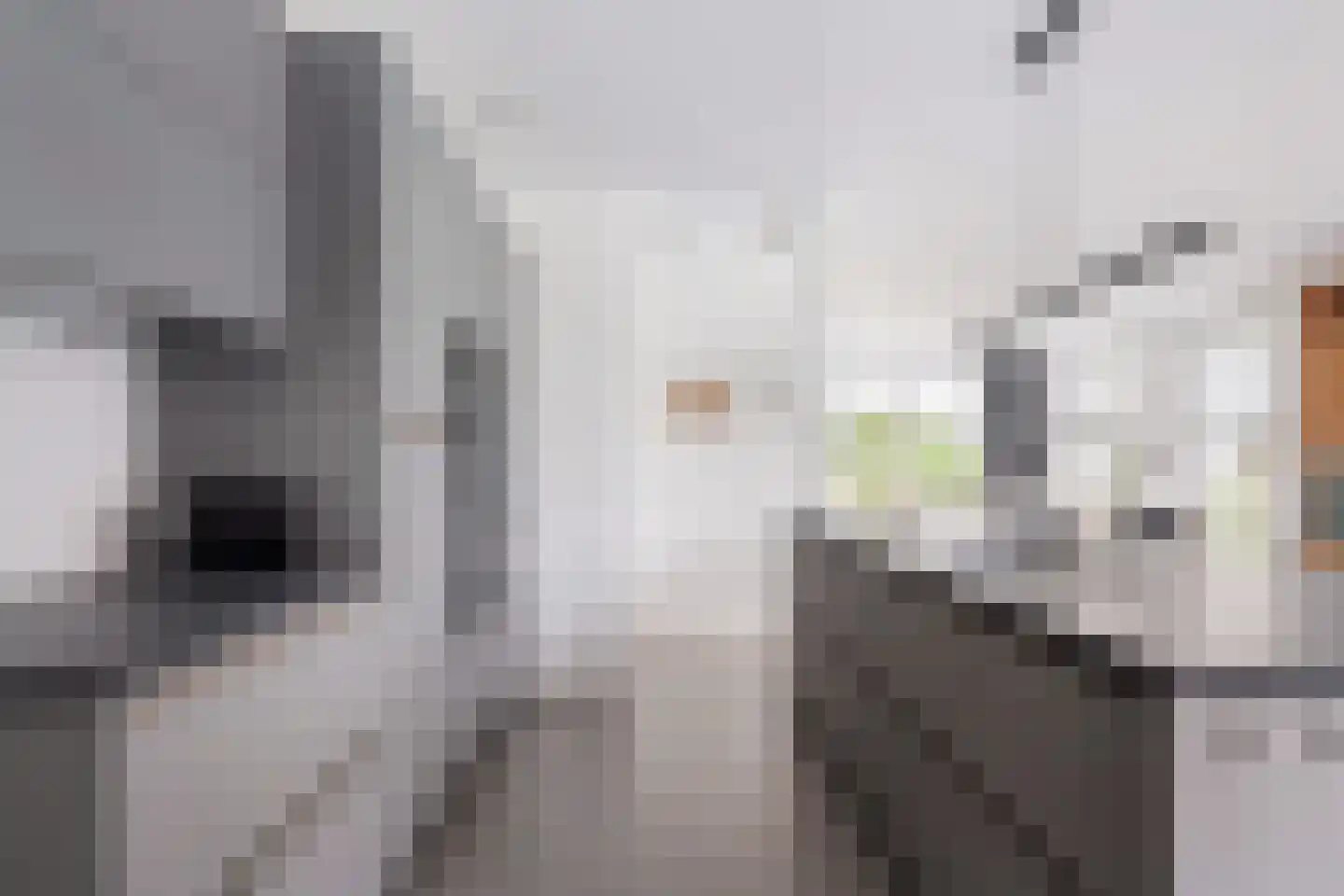 Tolhûsdyk 11 Sneek thumbnail 19