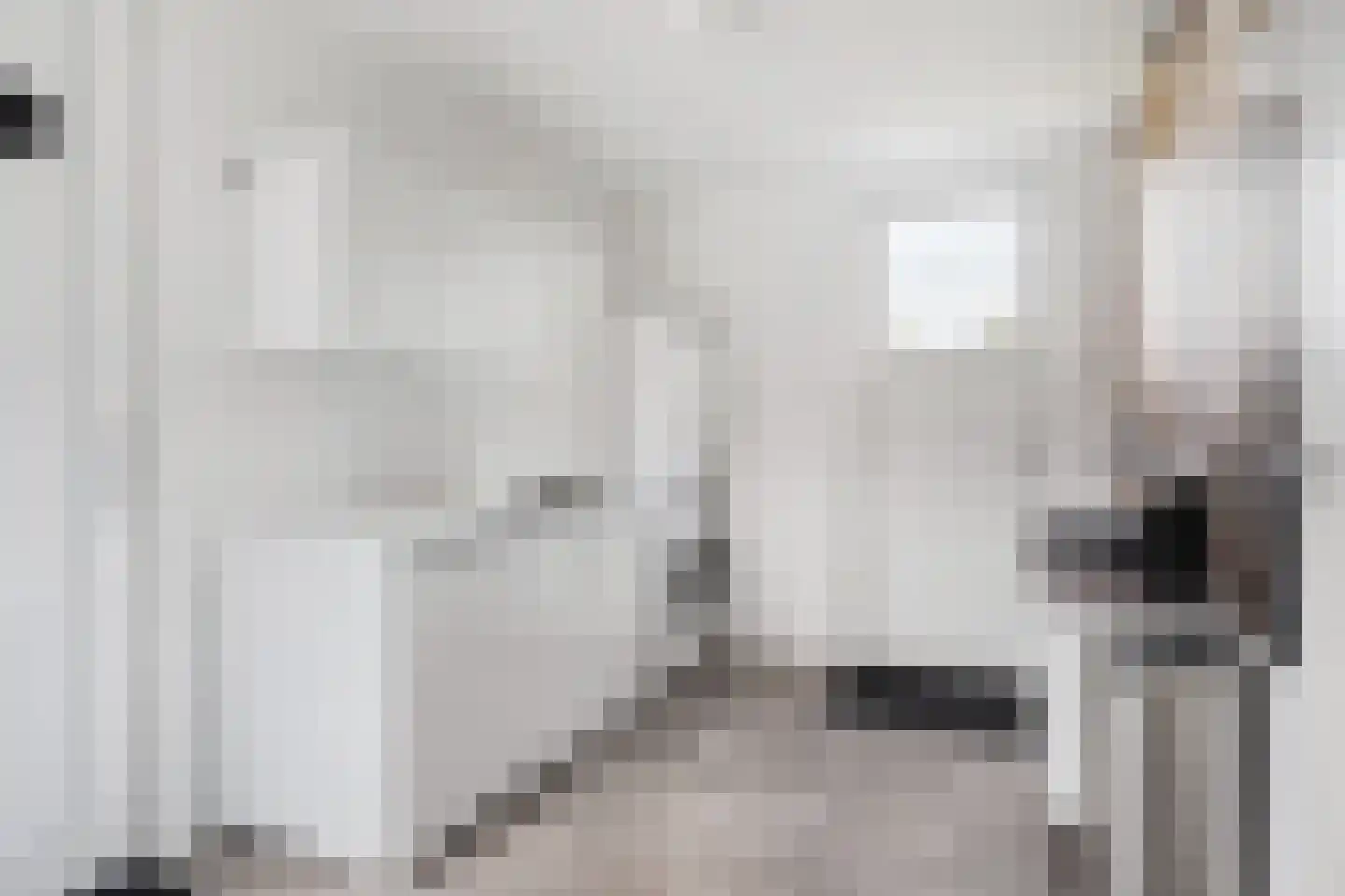 Tolhûsdyk 11 Sneek thumbnail 26