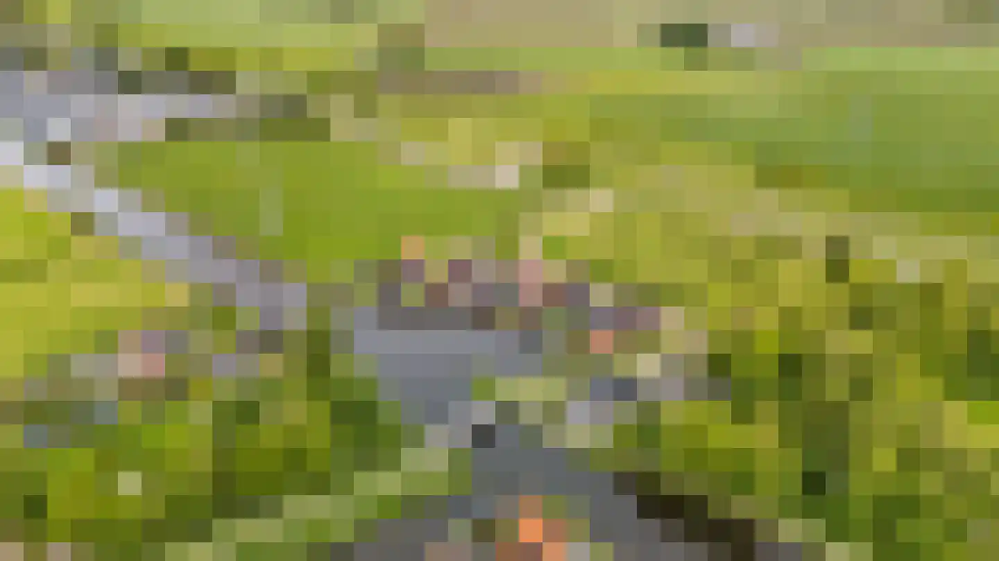 Tolhûsdyk 11 Sneek thumbnail 4