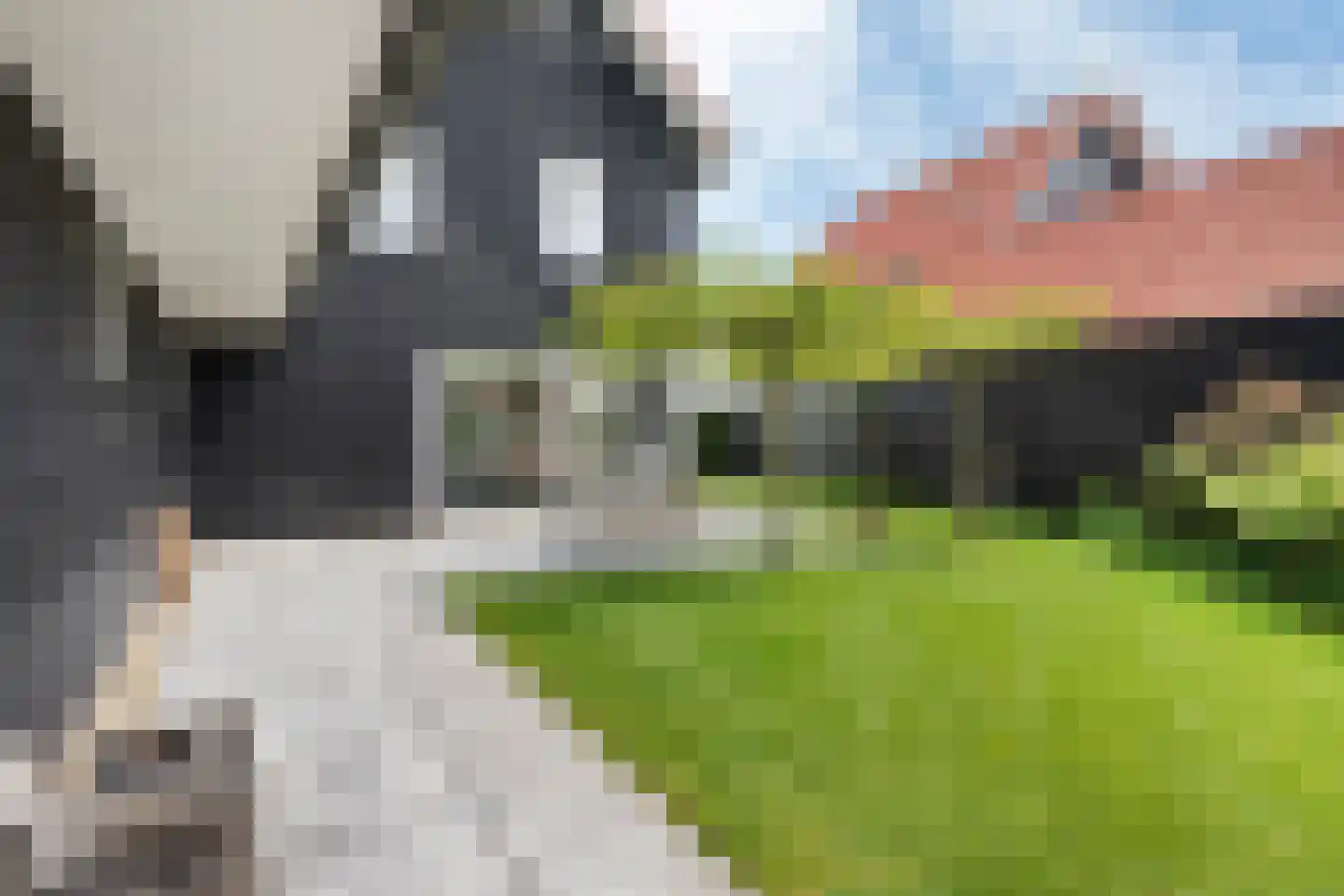Tolhûsdyk 11 Sneek thumbnail 40