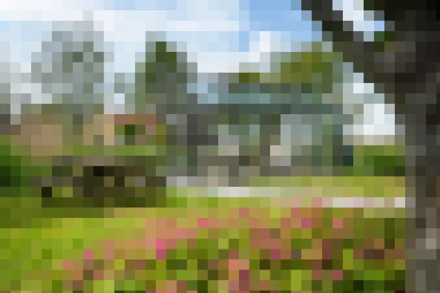 Tolhûsdyk 11 Sneek thumbnail 45