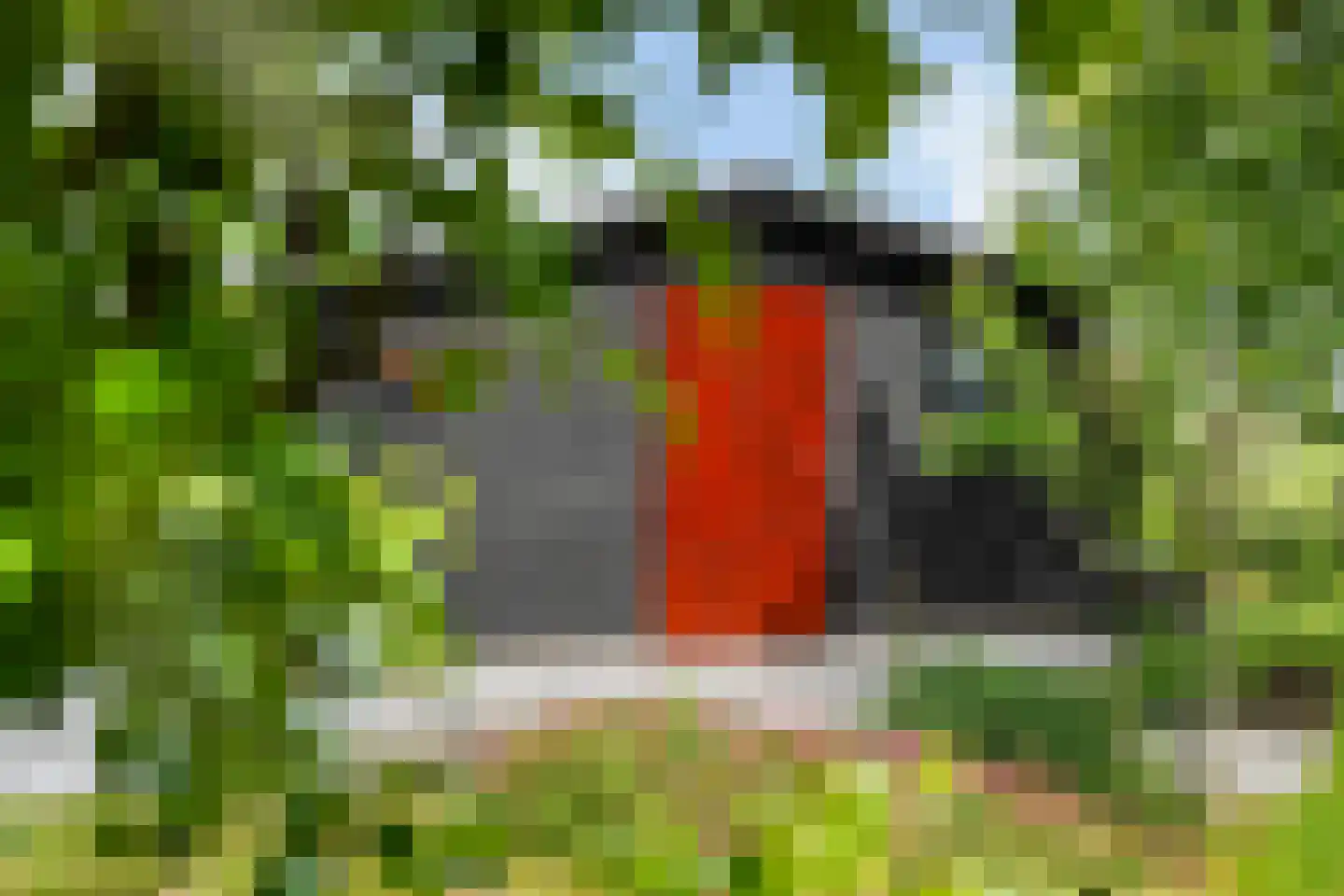 Tolhûsdyk 11 Sneek thumbnail 46