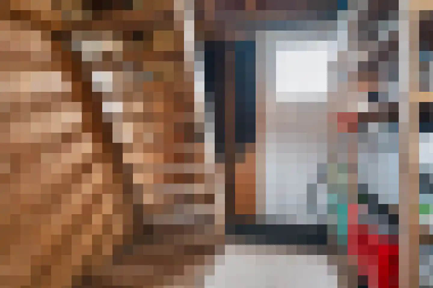 Tolhûsdyk 11 Sneek thumbnail 48