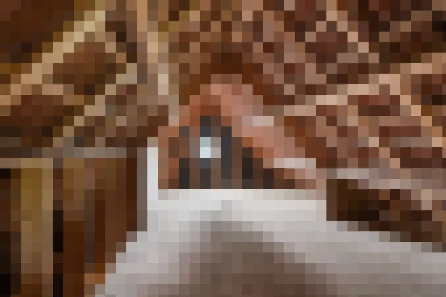 Tolhûsdyk 11 Sneek thumbnail 50