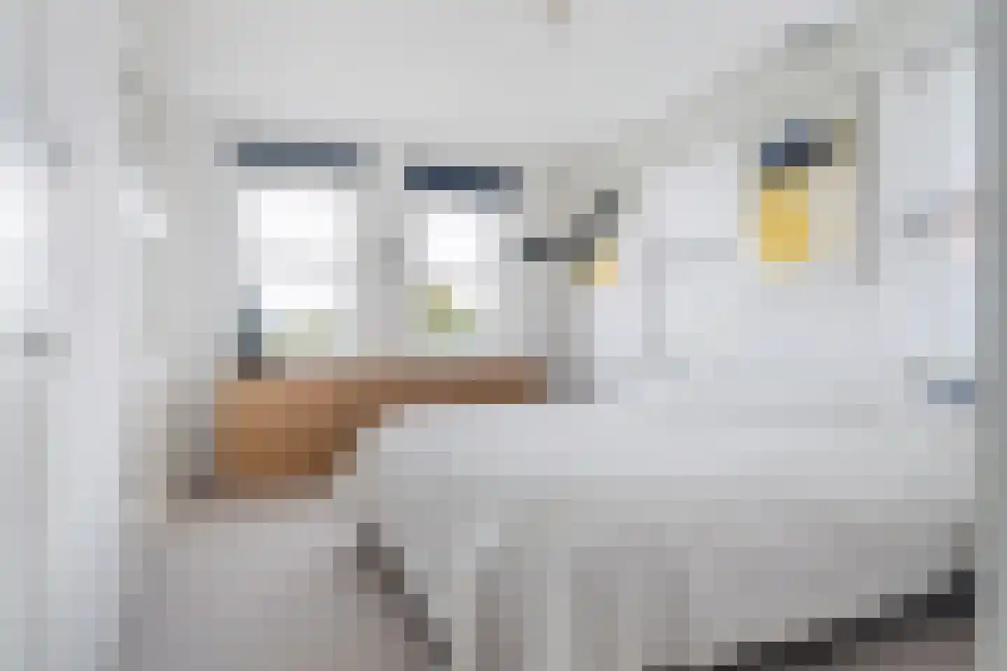 Tolhûsdyk 11 Sneek thumbnail 53