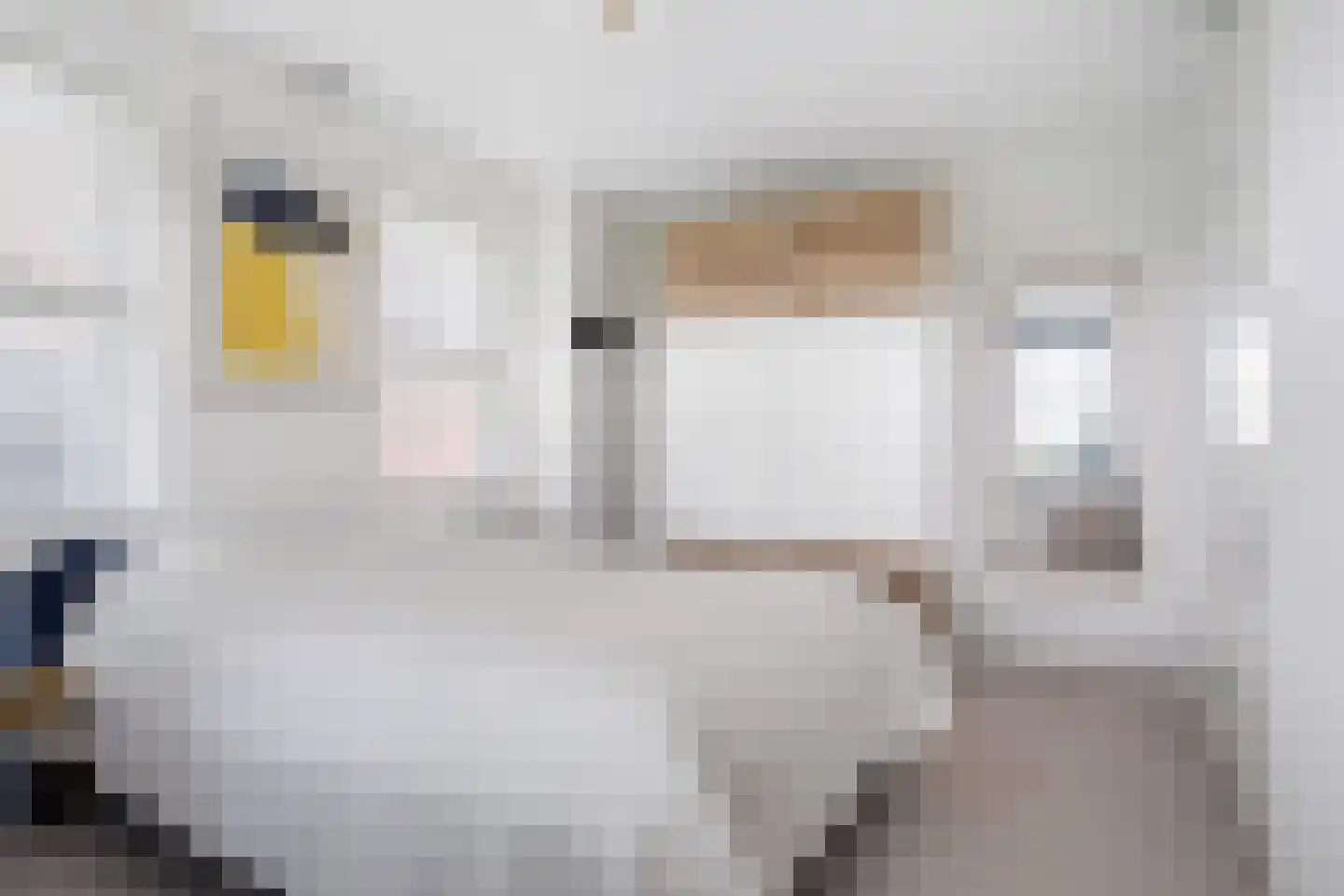 Tolhûsdyk 11 Sneek thumbnail 57