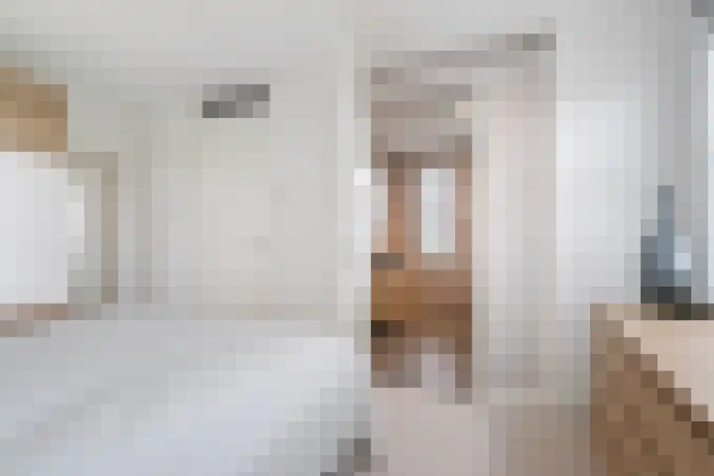 Tolhûsdyk 11 Sneek thumbnail 58
