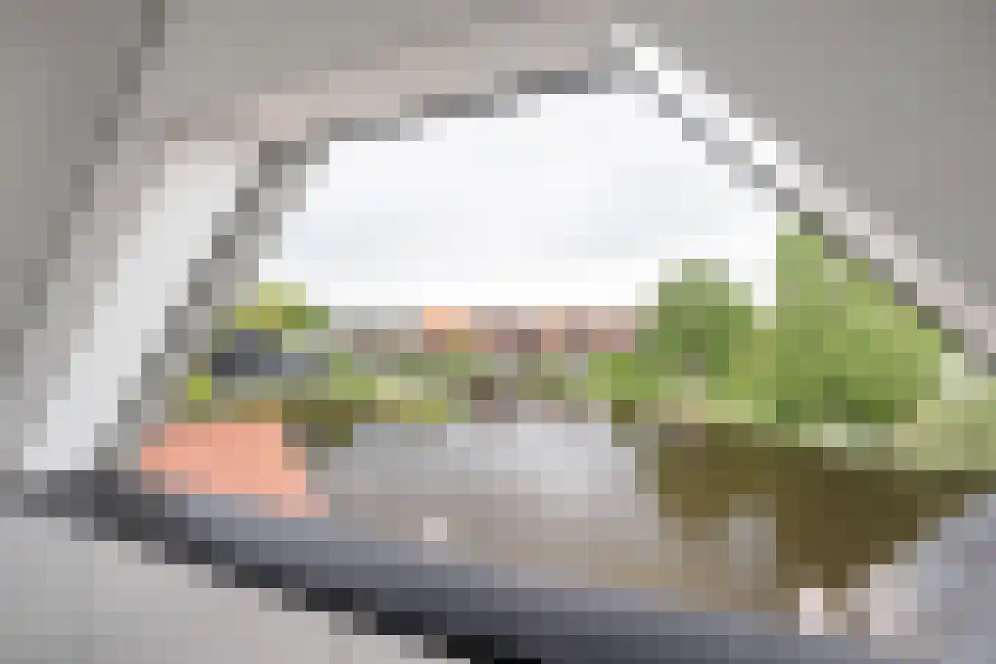 Tolhûsdyk 11 Sneek thumbnail 70