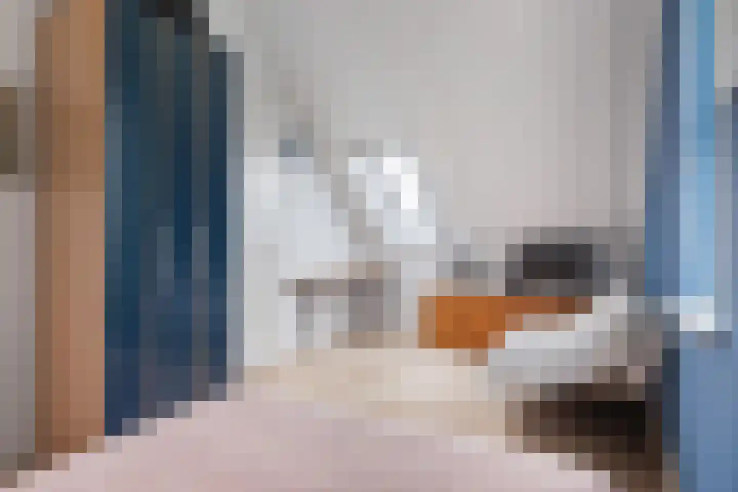 Tolhûsdyk 11 Sneek thumbnail 73