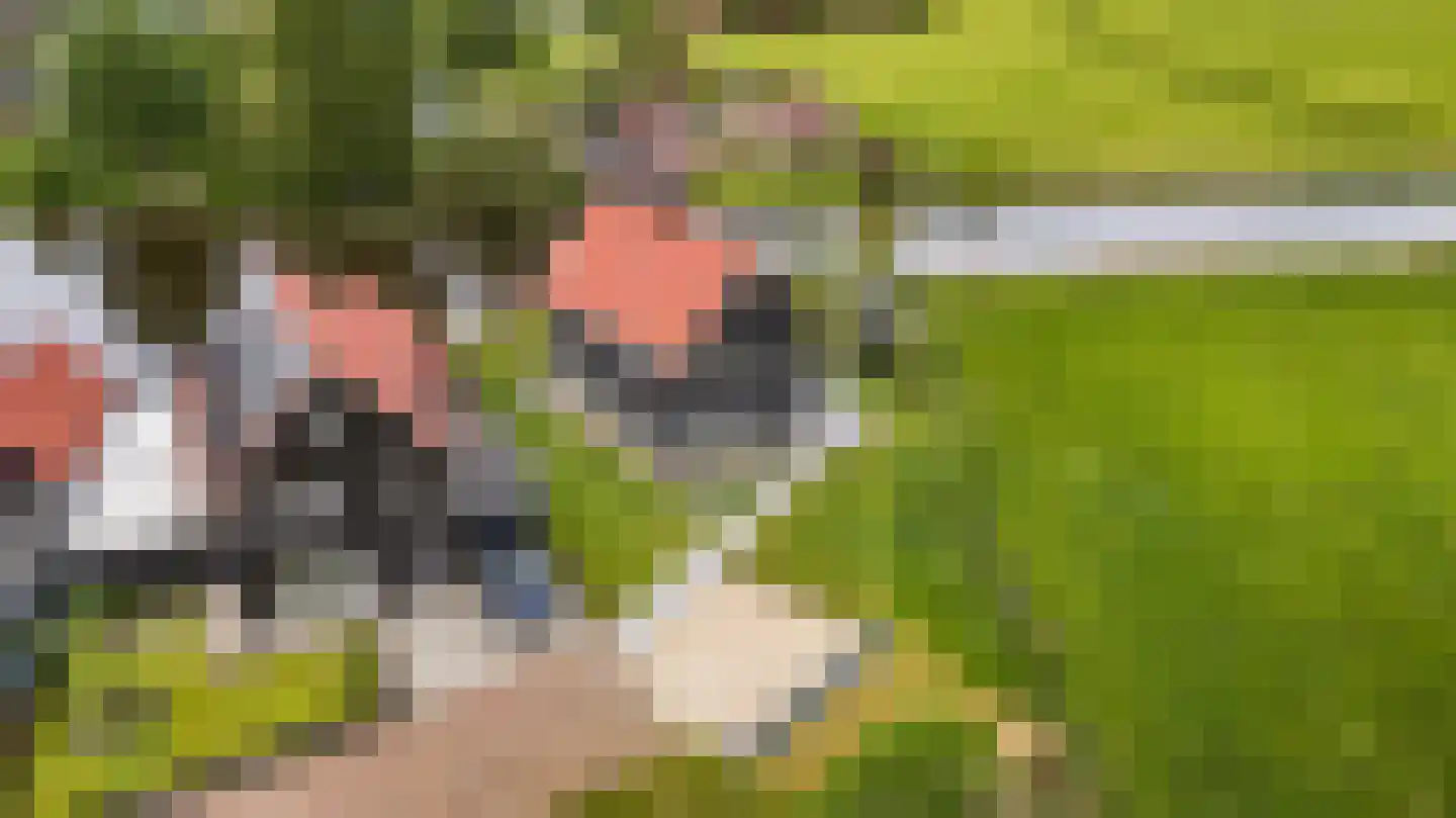 Tolhûsdyk 11 Sneek thumbnail 75