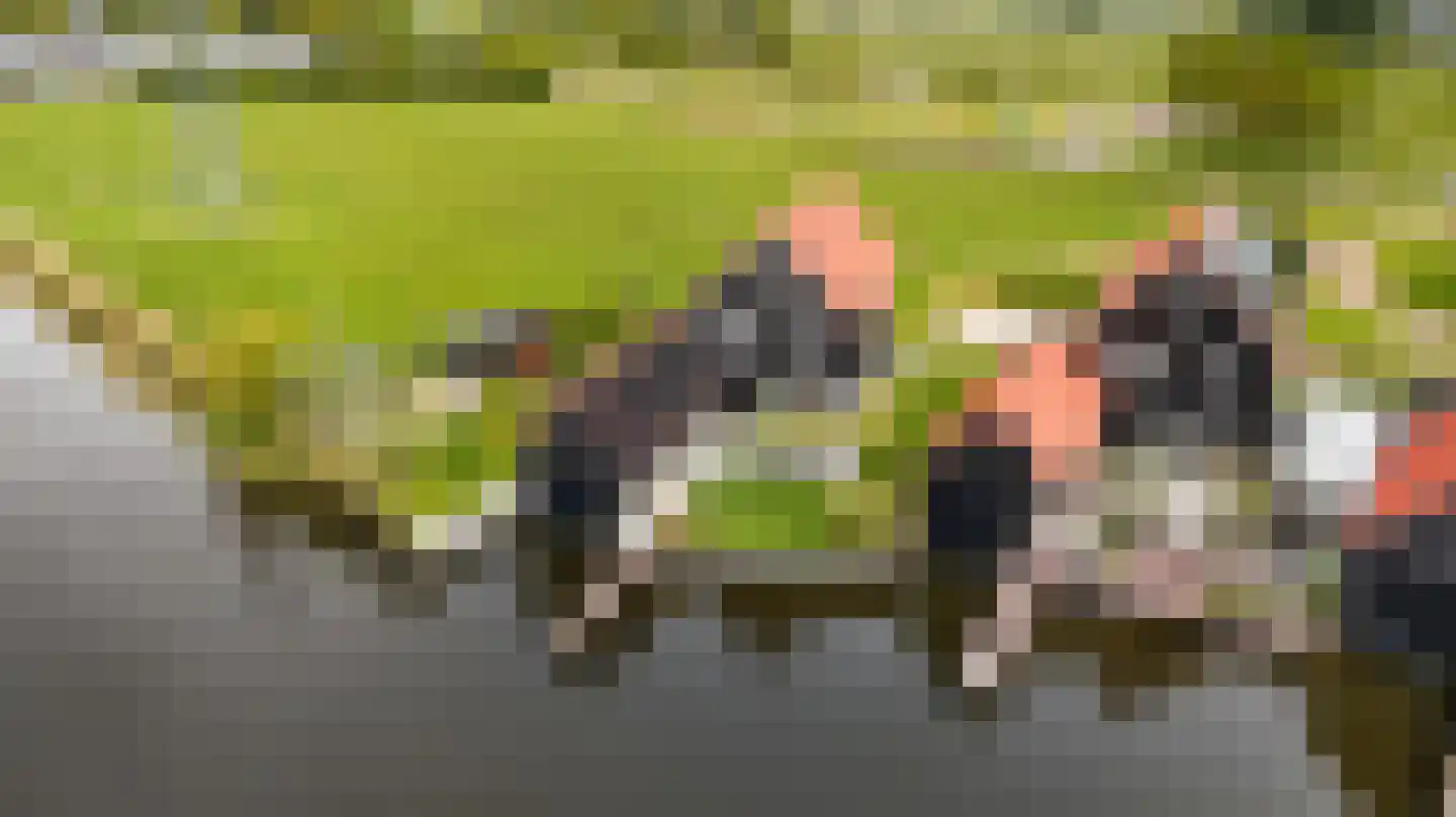 Tolhûsdyk 11 Sneek thumbnail 76