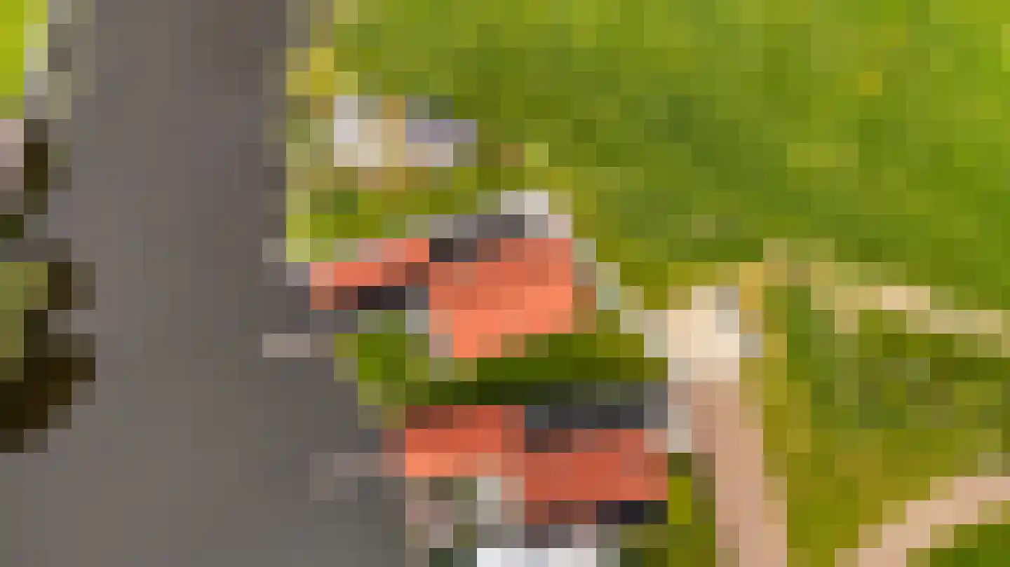 Tolhûsdyk 11 Sneek thumbnail 77