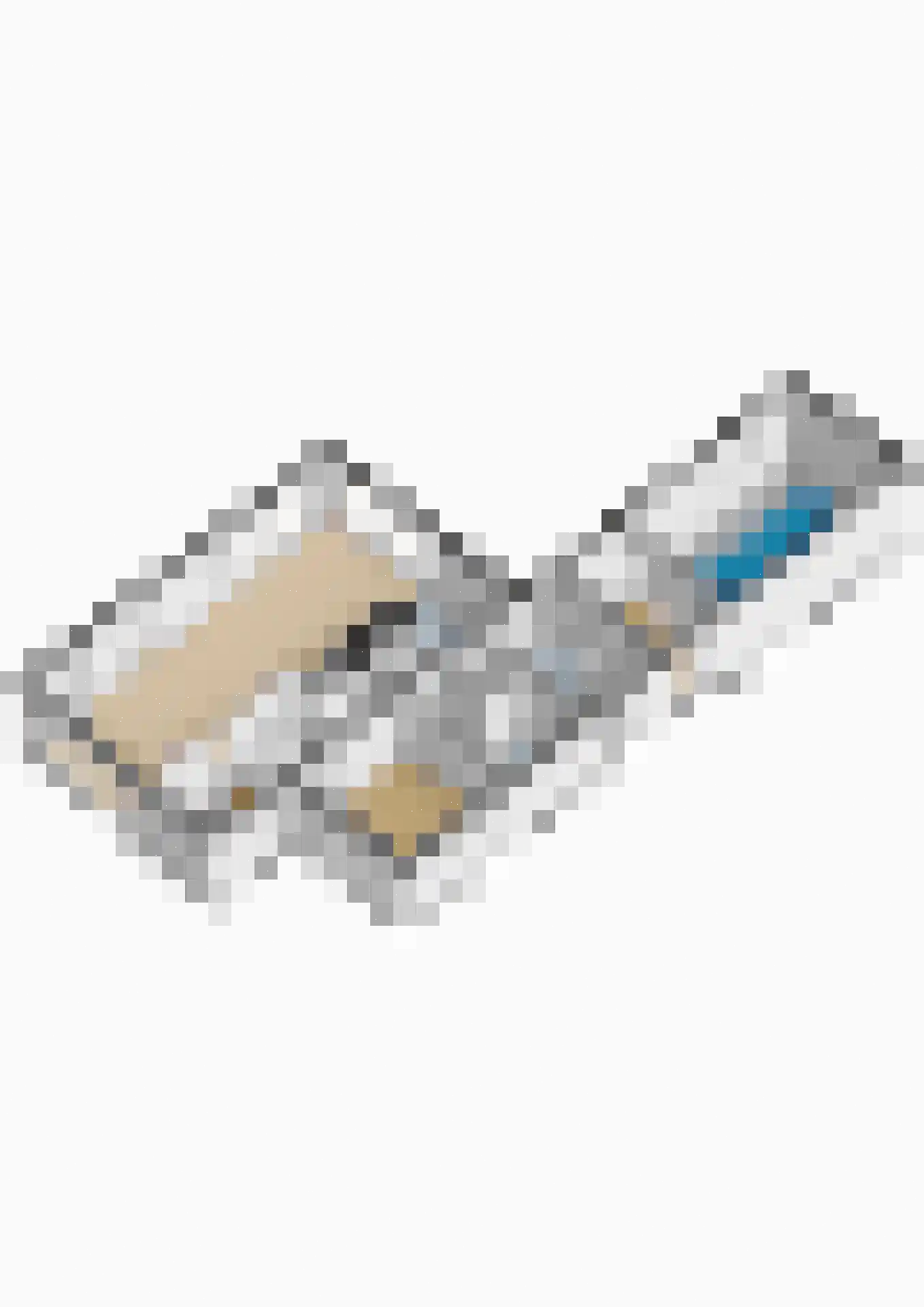 Tolhûsdyk 11 Sneek thumbnail 79