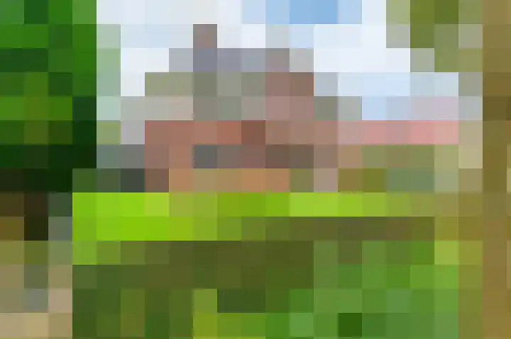 Tolhûsleane 14 Gorredijk thumbnail 11