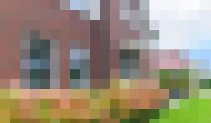 Tolhûsleane 14 Gorredijk thumbnail 12