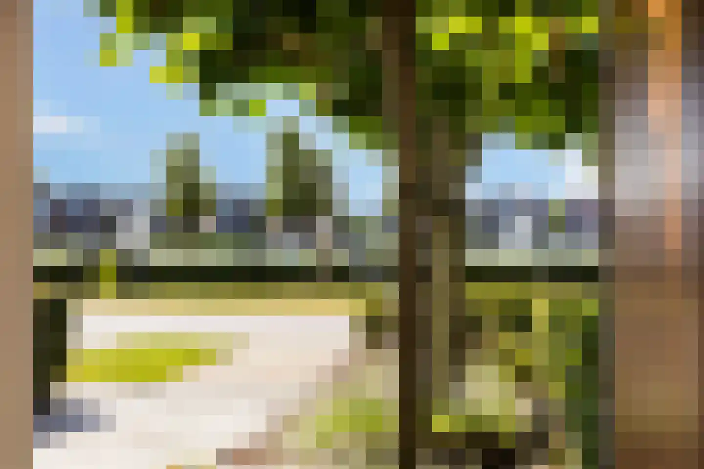Tolhûswei 14 Leeuwarden thumbnail 13