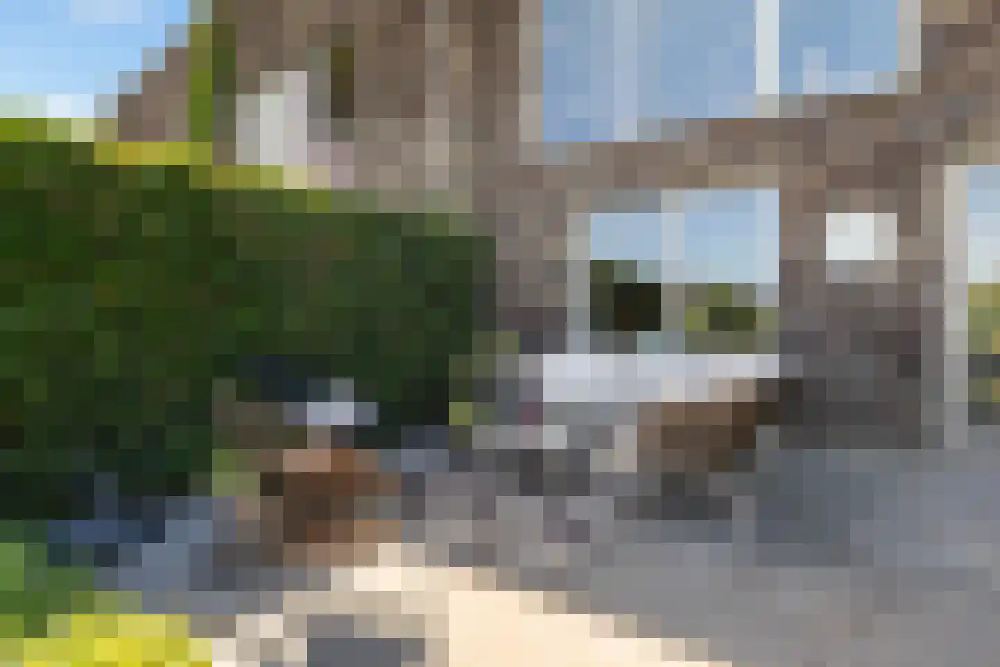Tolhûswei 14 Leeuwarden thumbnail 21